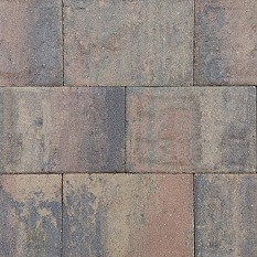 Straksteen 20x30x6 cm bruin gv