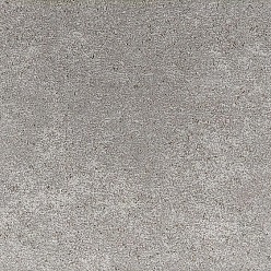 Traptrede 100x35x15cm Stone Grey Kleurecht Met Facet