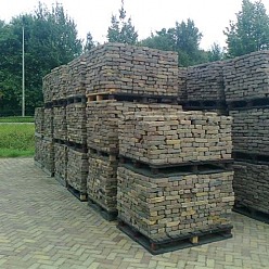 Oude Gebakken Waaltjes 100% Heel