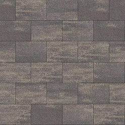 Tremico 60x60x6cm Drents bont