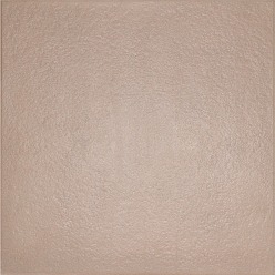 Elegance 60x60x4cm Dust