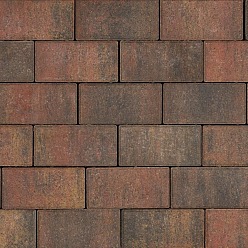 Tremico Betonklinker Bont 21x10,5x7cm