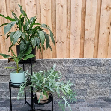 Splitrock 32x13x11 cm 2,0 Concrete