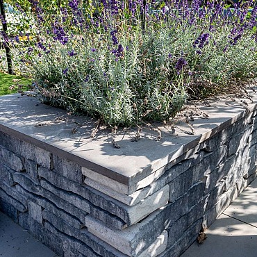 Siam Bluestone Vijverrand 100x25x3cm Verzoet
