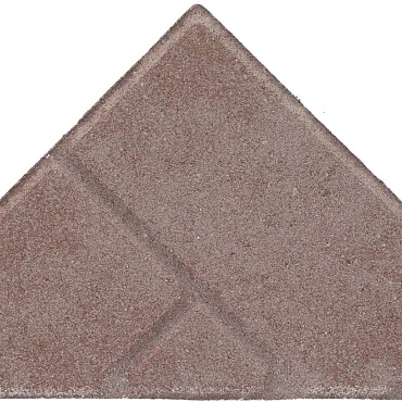 Bisschopsmuts Heide 8cm MOBO