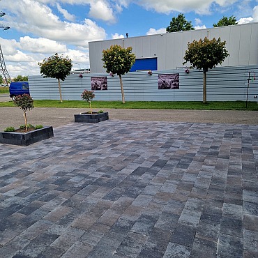 Straksteen 20x30x6 cm Oud Drachten