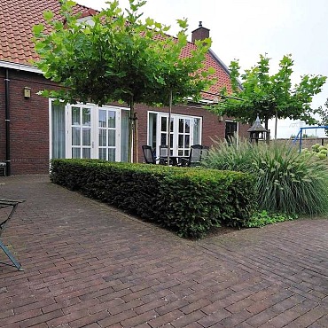 Gebakken Dikformaat Violeto 80mm