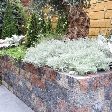 Nature Walling 32x13x11cm Mosselkalk