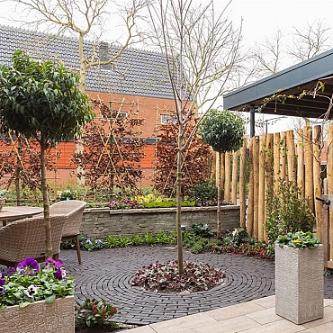 Hollandse Streken Waalformaat 5x20x6cm Betuwe zwart