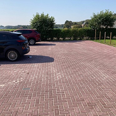 S-top betonstraatsteen half 8 cm paars komo