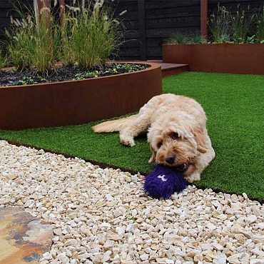 Yellow Sun Split 11-16 mm 20kg