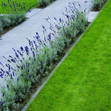 Opsluitband 6x20x100cm Grijs