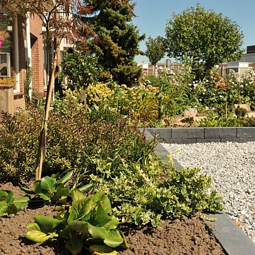 Rock Walling Leisteen Antraciet