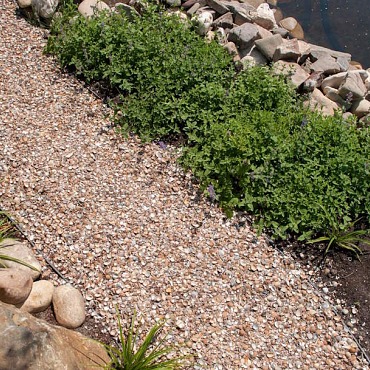 Schelpen 3-20 mm bont 350kg