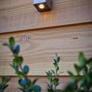in-lite Cubid