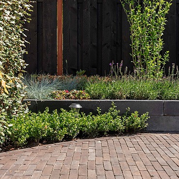 Hollandse Streken Waalformaat 5x20x6cm fries zwart/bruin