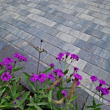 Patio Brick 6 cm ocean mini facet komo