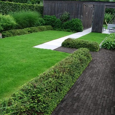 Bremen Waalformaat WF60 Ongetrommeld