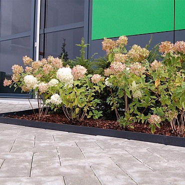 EverEdge Classic, 100x10cm Antraciet 1.6mm