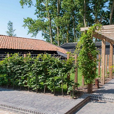 Clayville Antwerpen 200x65x60mm Antraciet