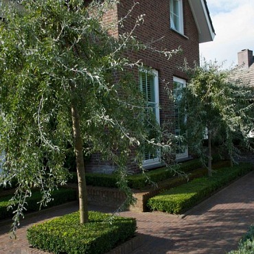 Clayville Rotterdam 200x65x60mm Bont