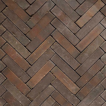 Gebakken Waalformaat 20x5x6cm Rustiek Carpo