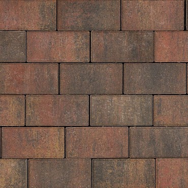 Tremico Betonklinker Bont 21x10,5x7cm