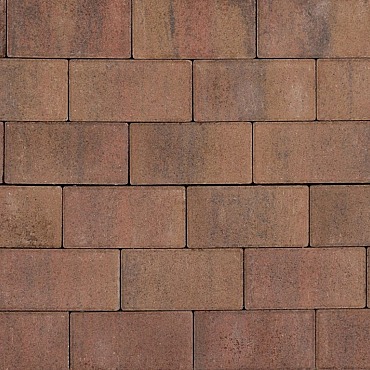 Tremico Betonklinker Oud Bont 21x10,5x7cm