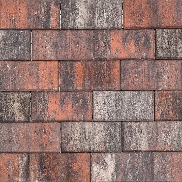 Tremico Betonklinker Twents Bont 21x10,5x7cm