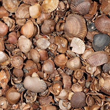 Schelpen 3-20 mm 13,5kg