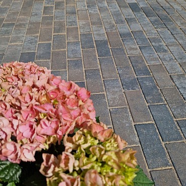 Betonstraatsteen 6 cm Oud Drachten Komo