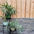 Splitrock 32x13x11 cm 2,0 Concrete