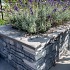 Siam Bluestone Vijverrand 100x25x3cm Verzoet