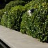 Bluestone Rand 100x30x3cm Primo