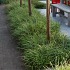 Gebakken Waalformaat 20x5x6,5cm Rustiek Pastorale