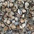 Schelpen 8-16 mm 650kg