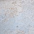 Carpet Sand Natural 50x100x2cm