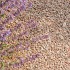 Graniet Split Rood 8-16 mm 1000kg