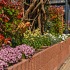Ridgeflor Groot Bruin 60x40x25cm