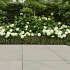Keramische Tuintegel Lucca 90x90x3cm Almond
