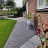 Patio Brick 6 cm black TOP mini facet komo