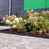 EverEdge Classic, 100x10cm Antraciet 1.6mm