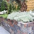 Nature Walling 32x13x11cm Mosselkalk