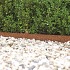 Mevosteel 5 mm Ongecoat 225 x10,2 cm